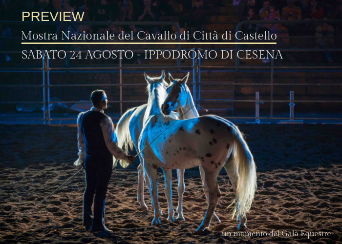 Sabato 24 agosto all'ippodromo di Cesena l'anteprima della Mostra Nazionale del Cavallo